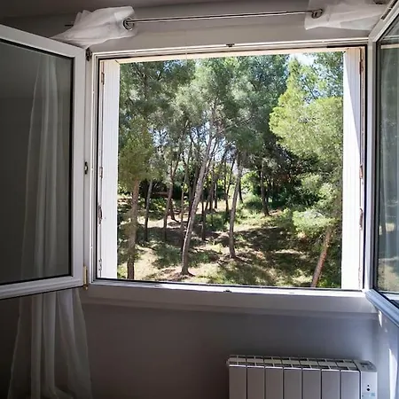 Apartamento Superb T4 Souplex In Giens