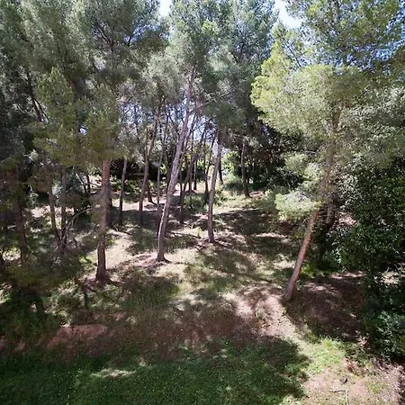 Superb T4 Souplex In Giens Apartamento Hyères