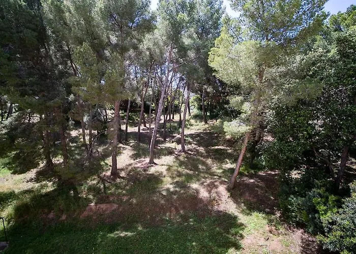 Superb T4 Souplex In Giens Апартаменти Єр